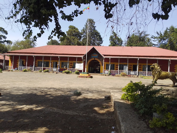 Medaniyalem High And Preparatory School