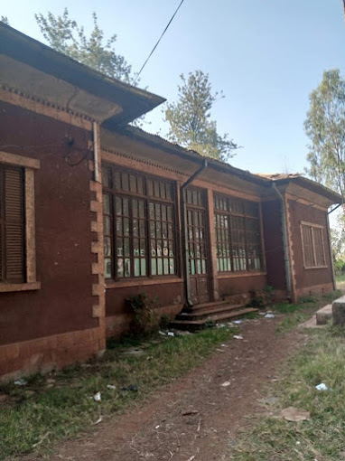 Jimma comprehensive secondary school